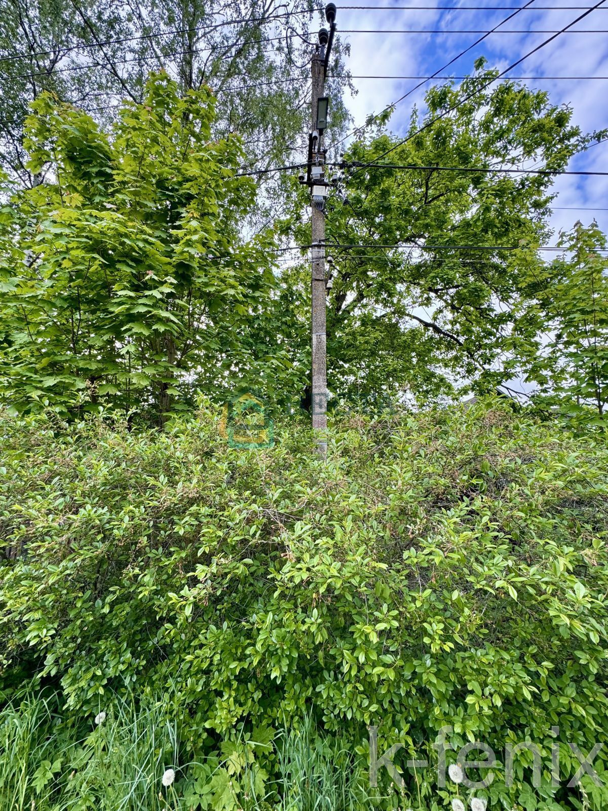 участок 13 сот